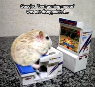 best-gaming-mouse.jpg