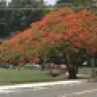 rruizortiz