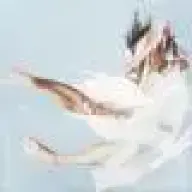 gdawe5