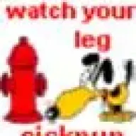 sickpup
