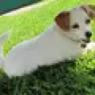 daisymaedew