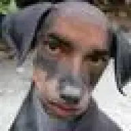 Verndog