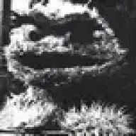 whicky1978