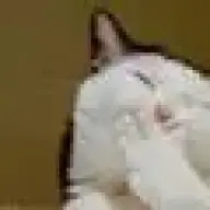 ggf