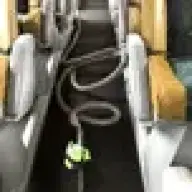 coachman