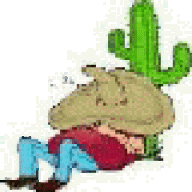 desertjim