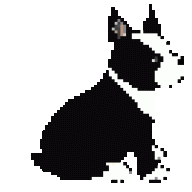 Pirahna