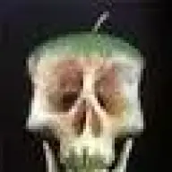sebek