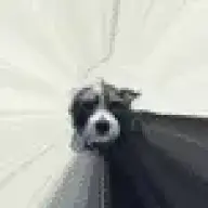 cesctheman
