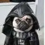 Maggiebar3