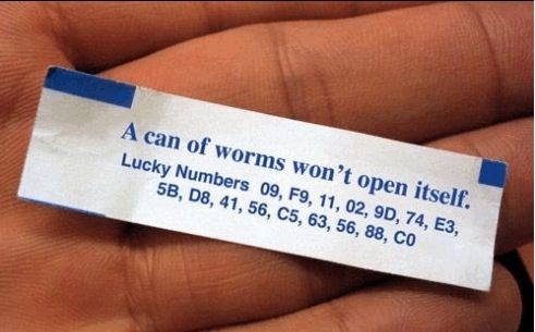 can-of-worms-491x305.jpg