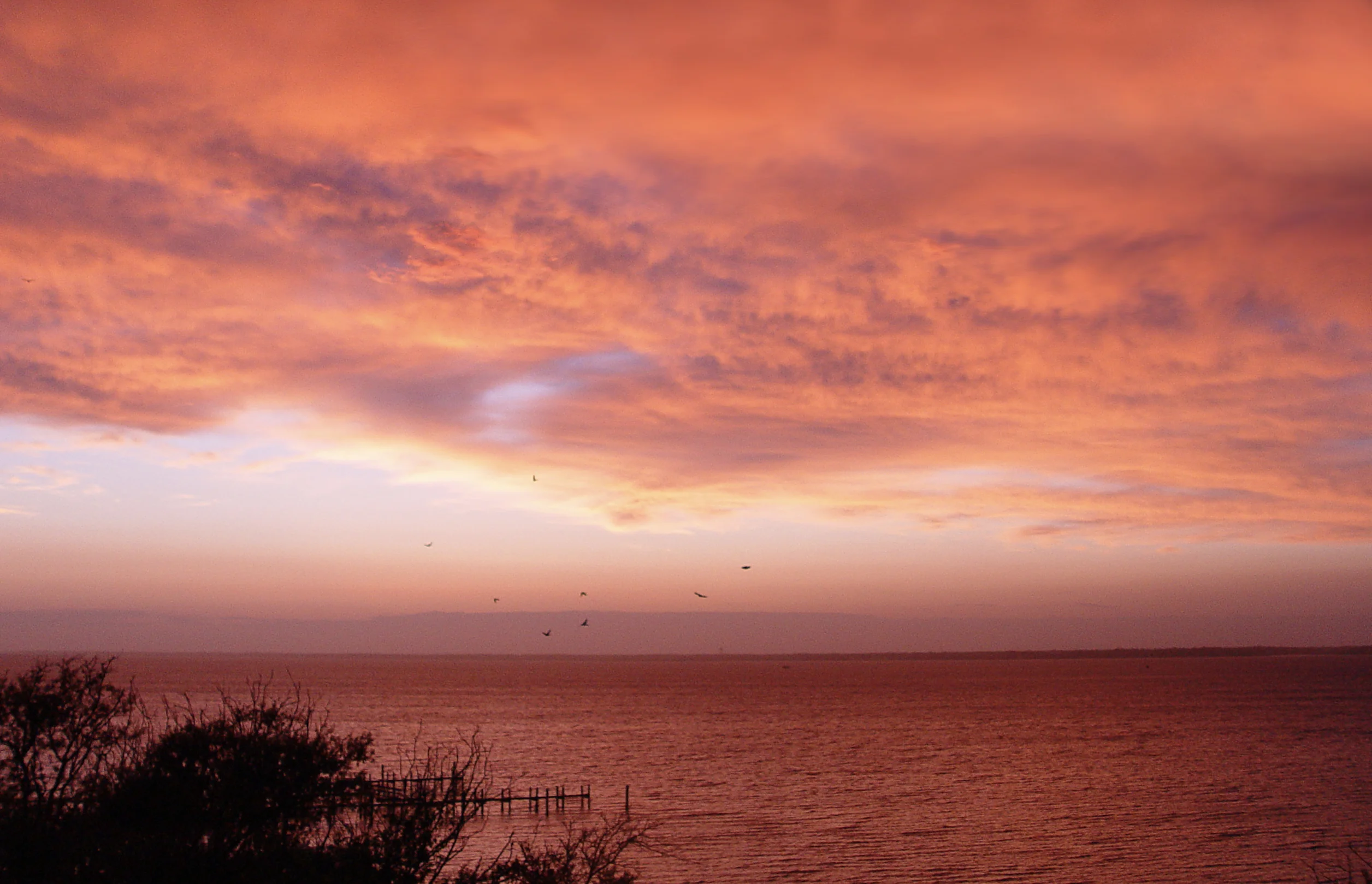Emerald Isle June 1, 2024.webp