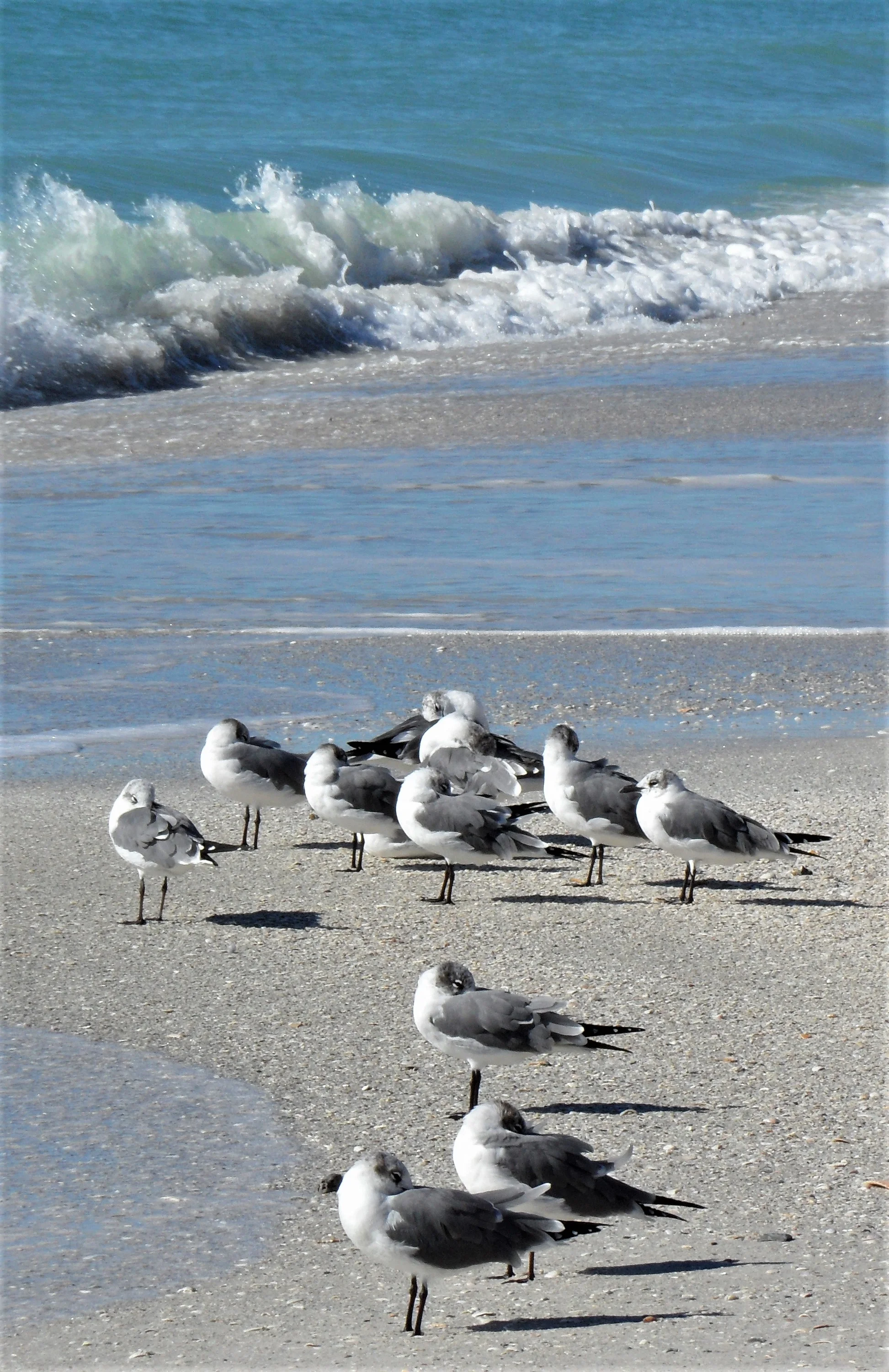 IMG_1213.webp