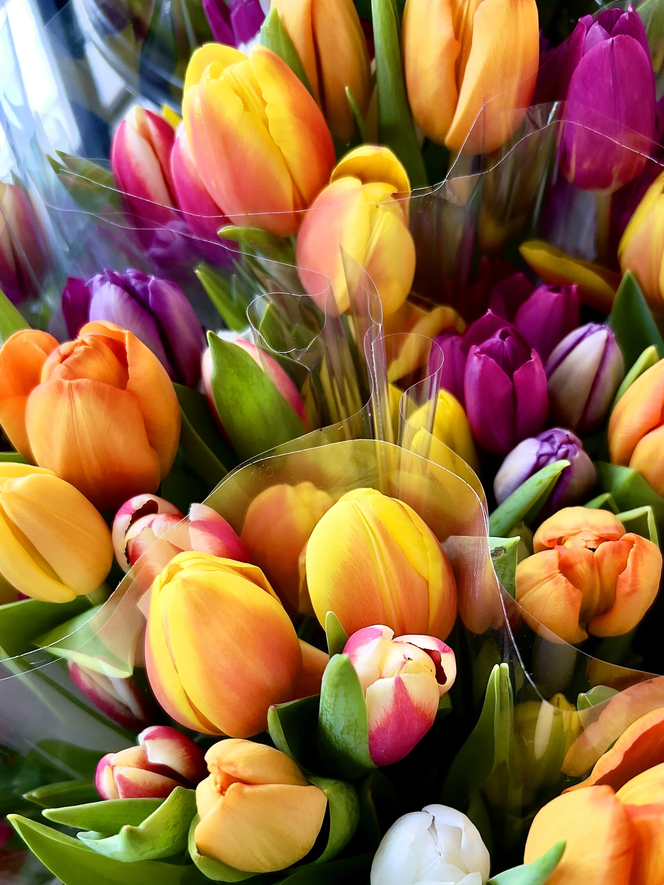 IMG_1378.webp