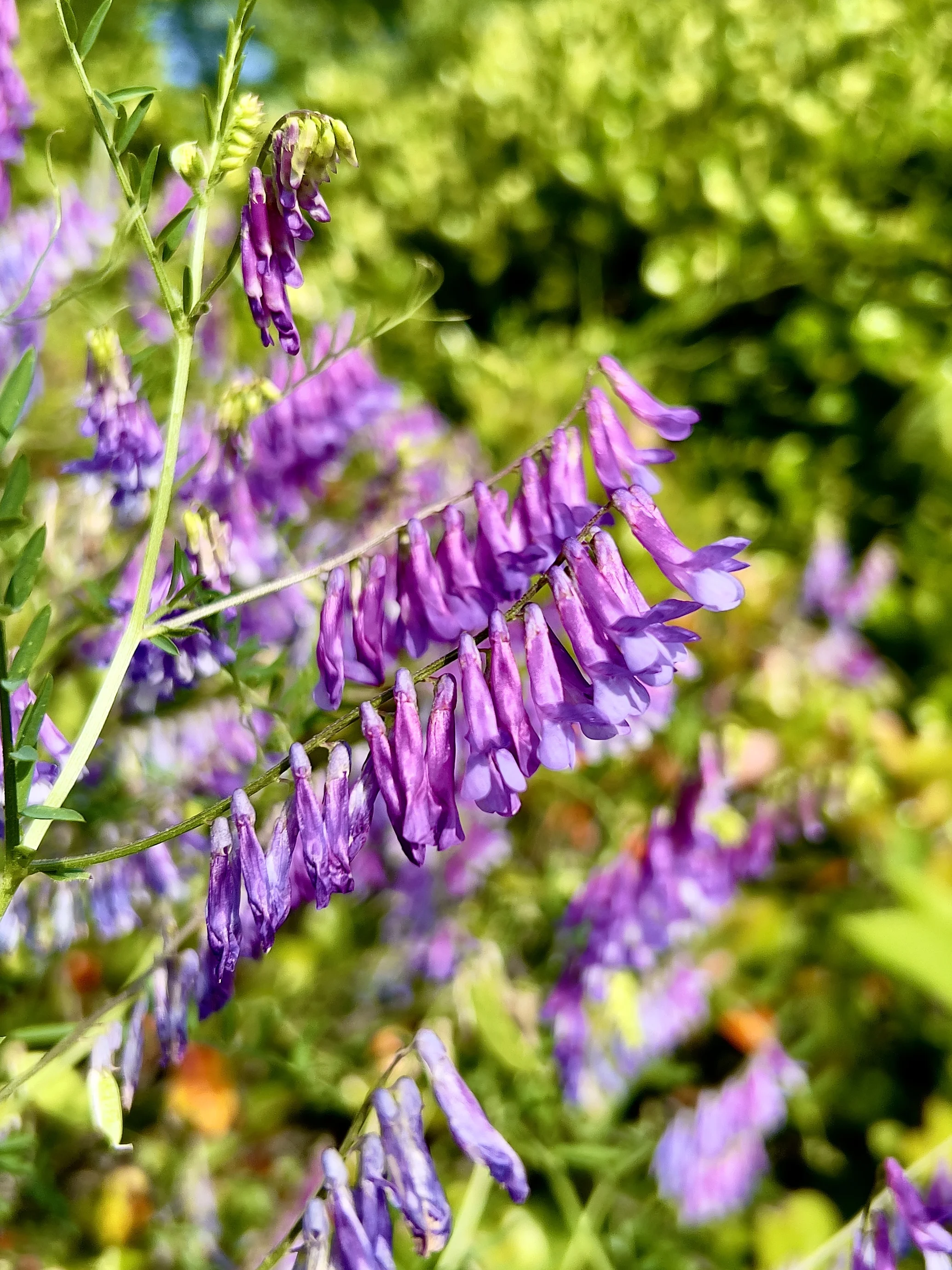 IMG_1574.webp