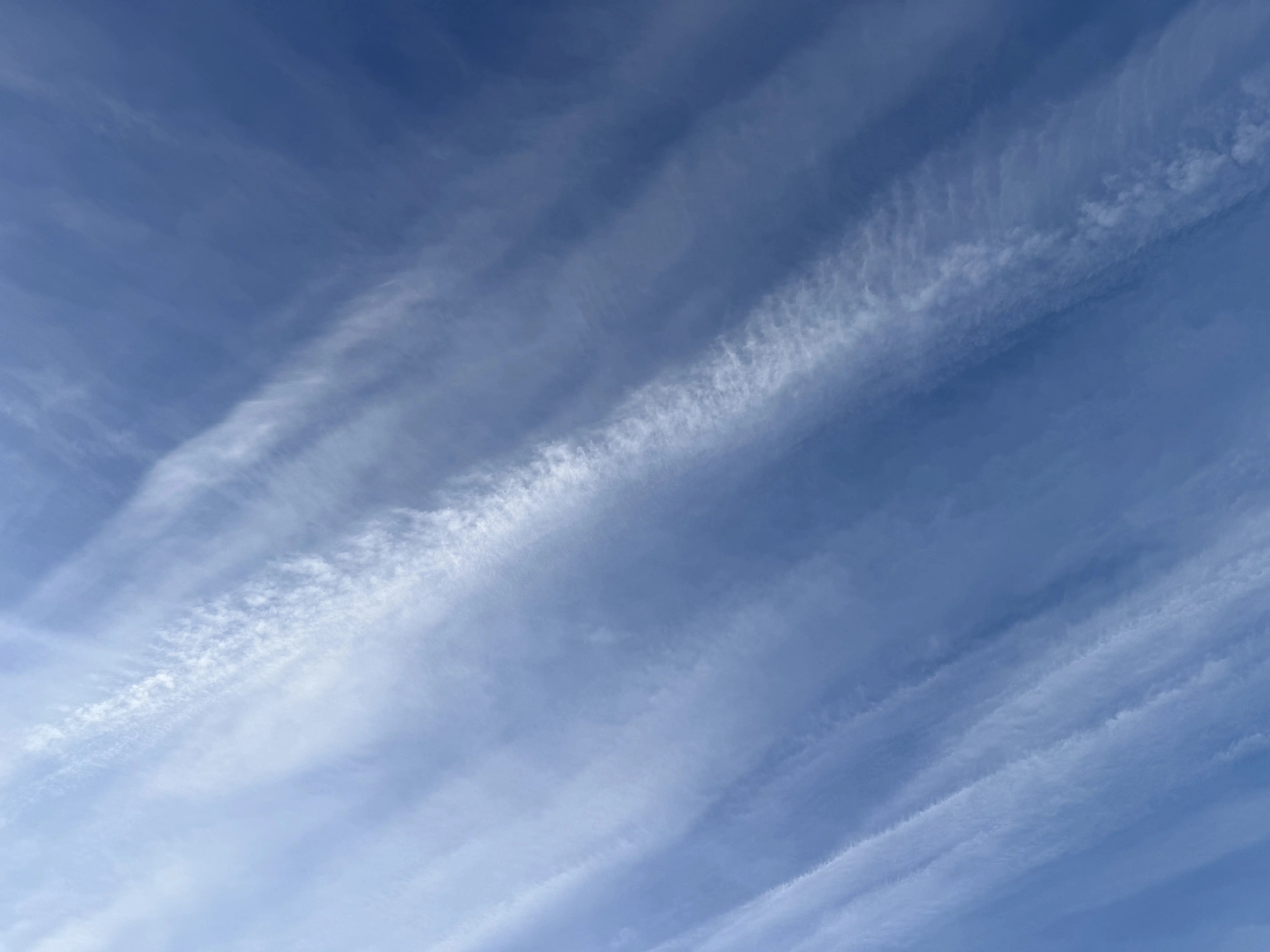 IMG_2500.webp