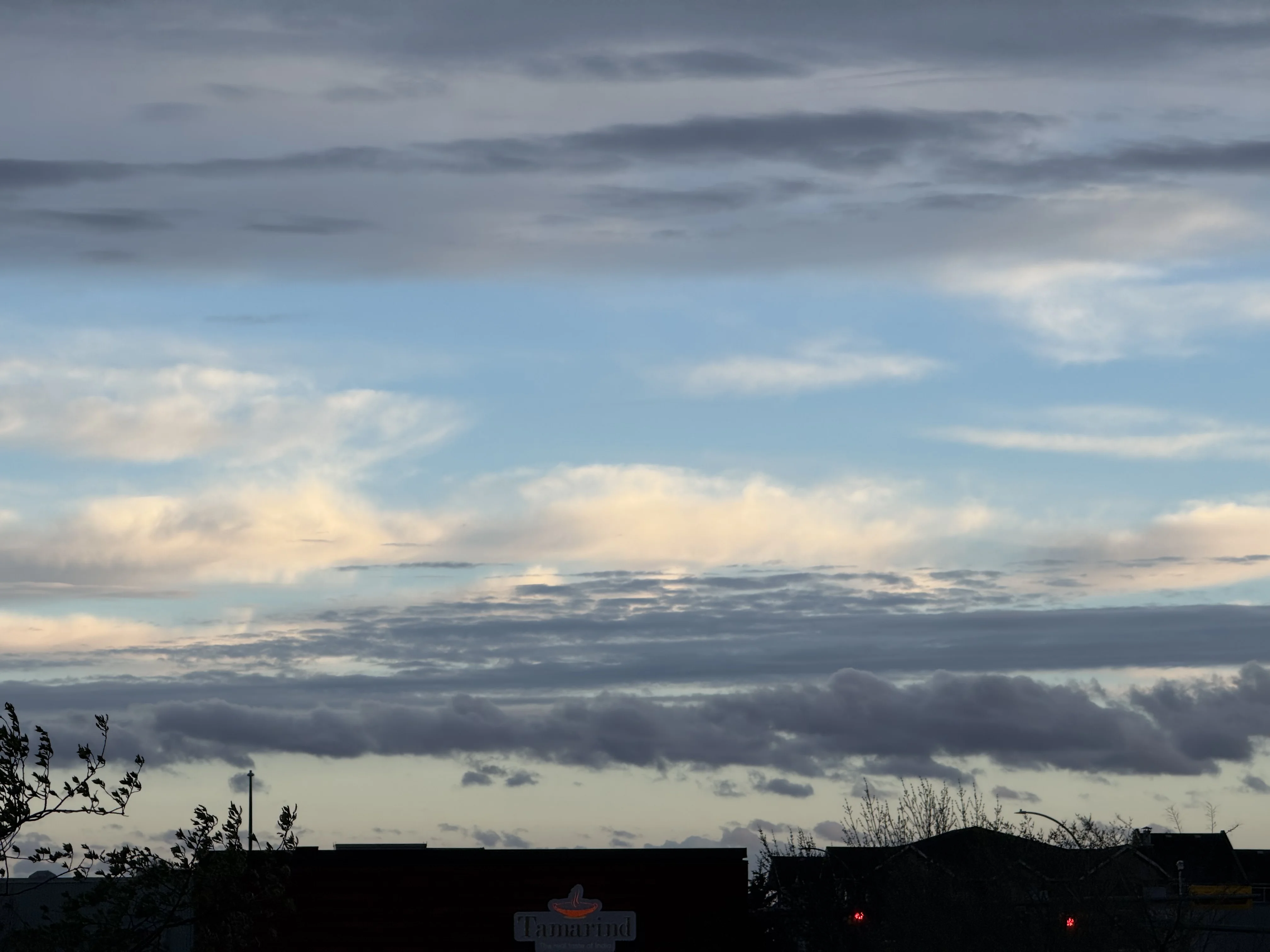 IMG_2534.webp