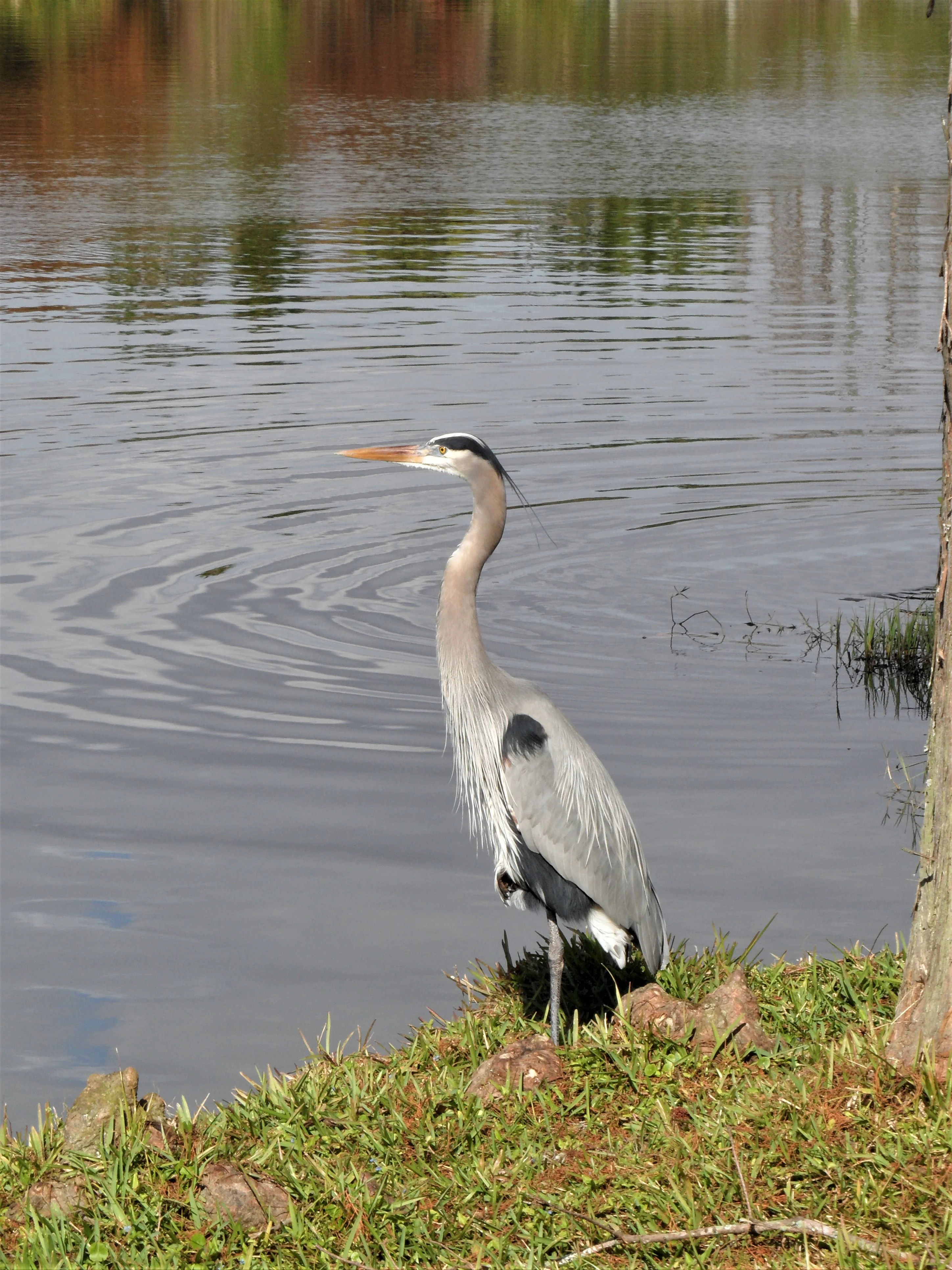 IMG_2554.webp