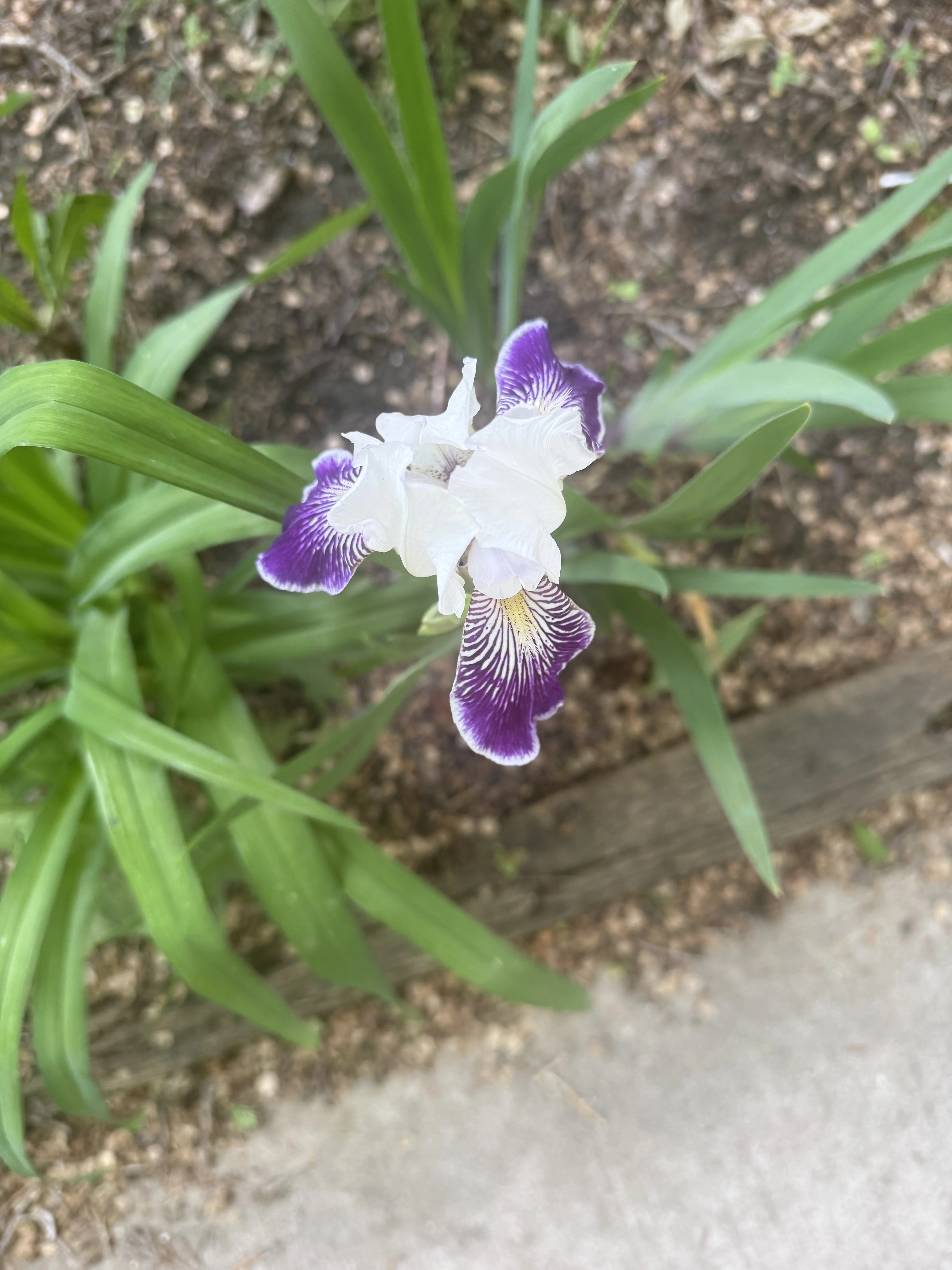 IMG_2889.webp