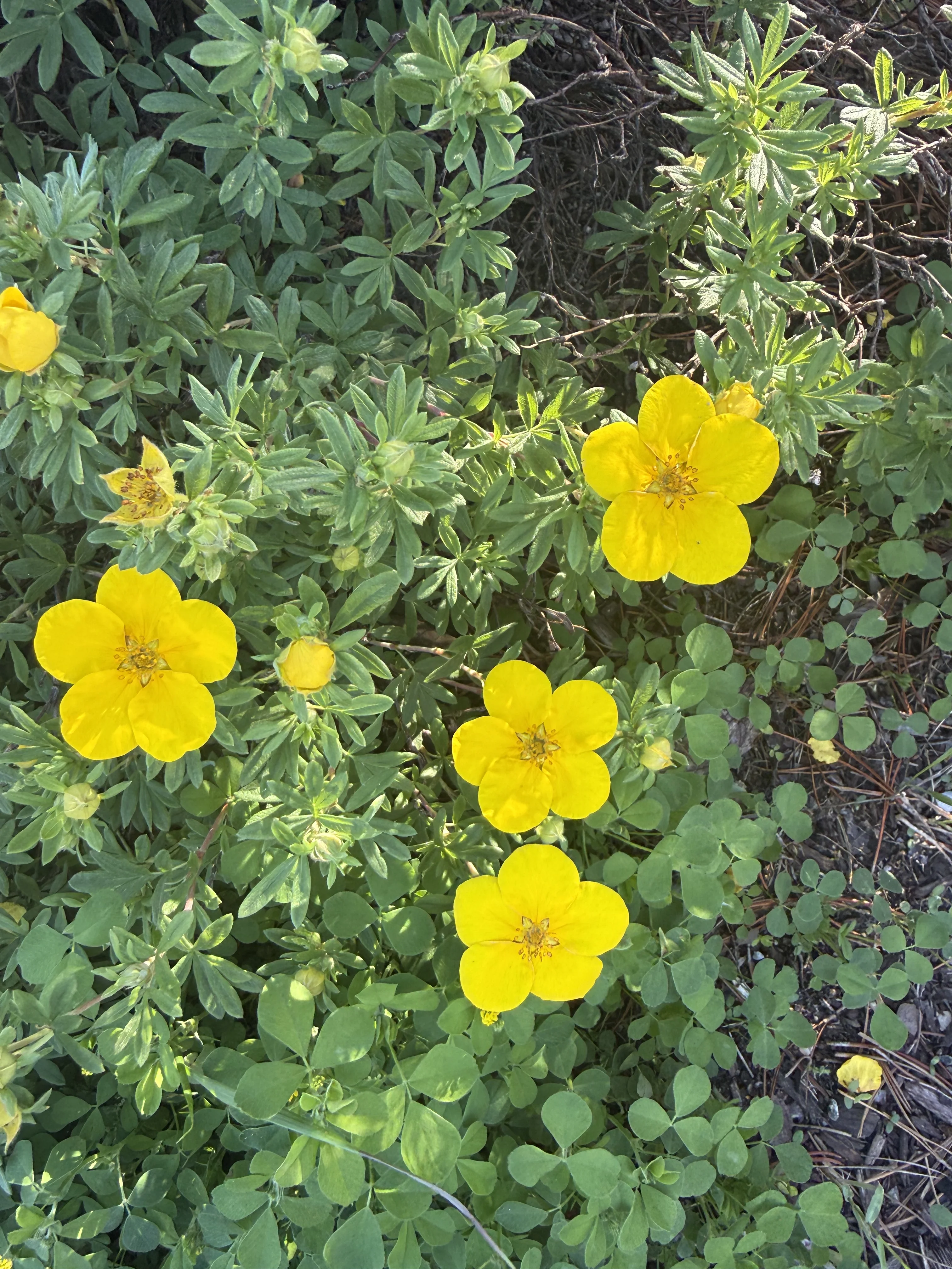 IMG_3113.webp