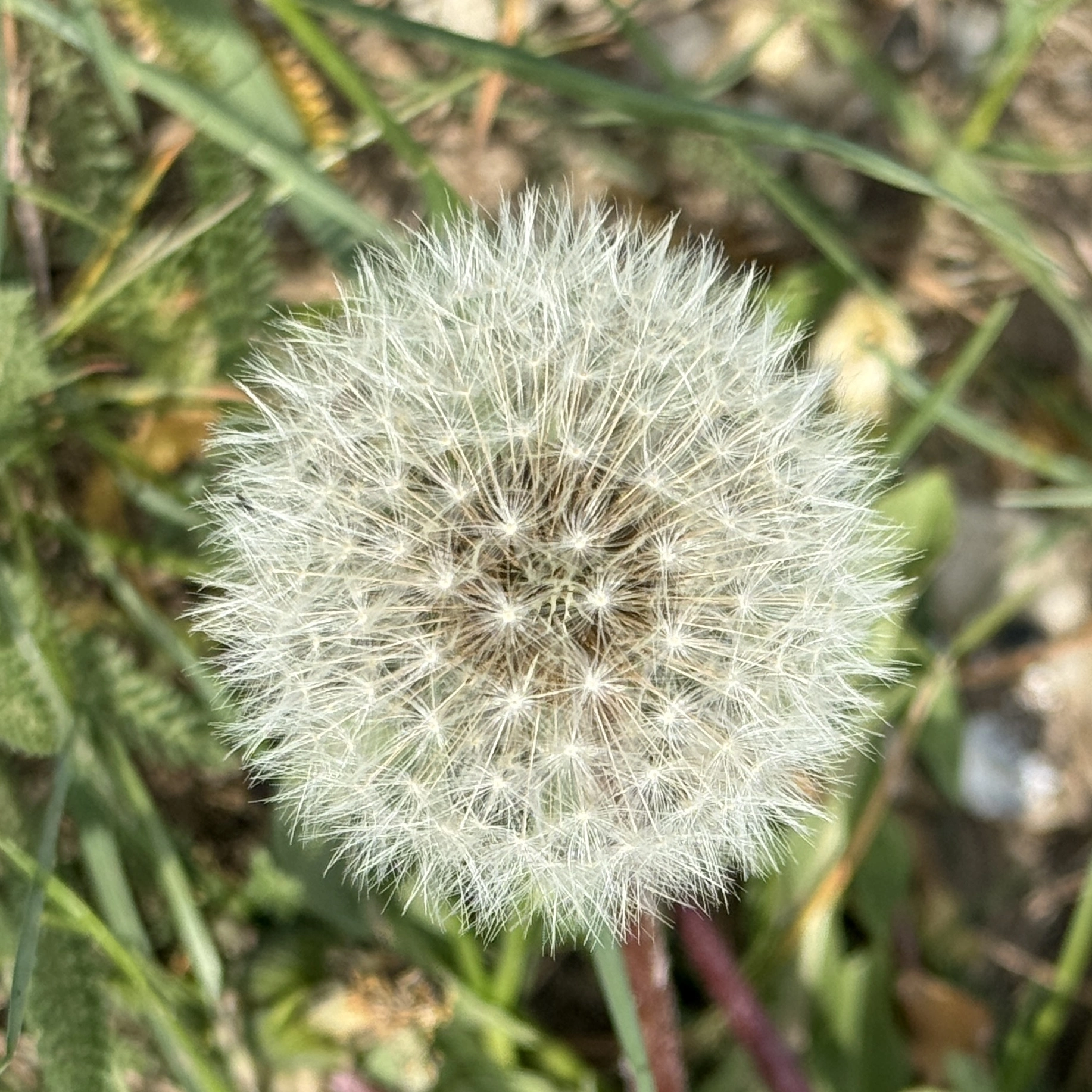 IMG_3894.webp