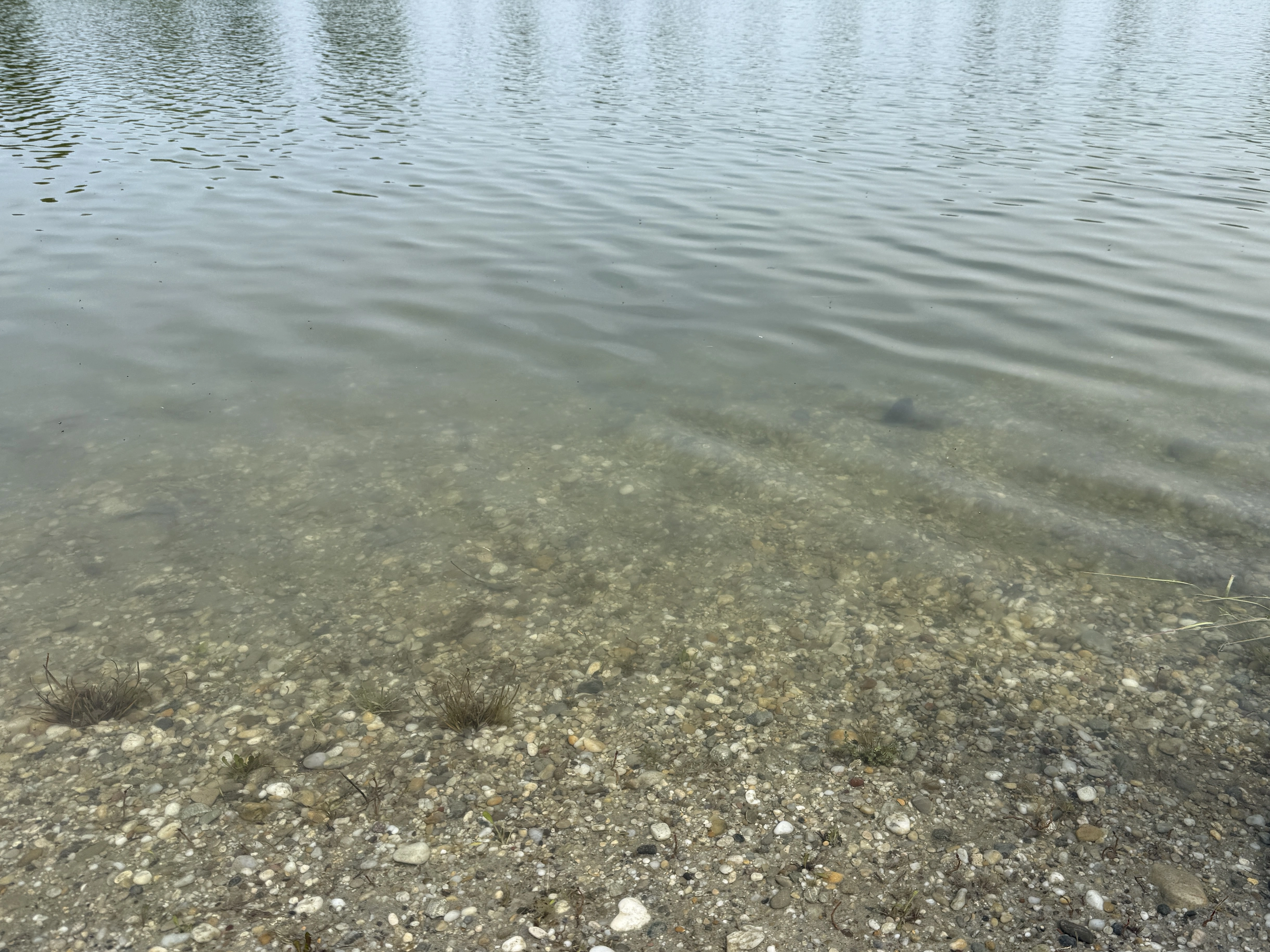 IMG_3906.webp
