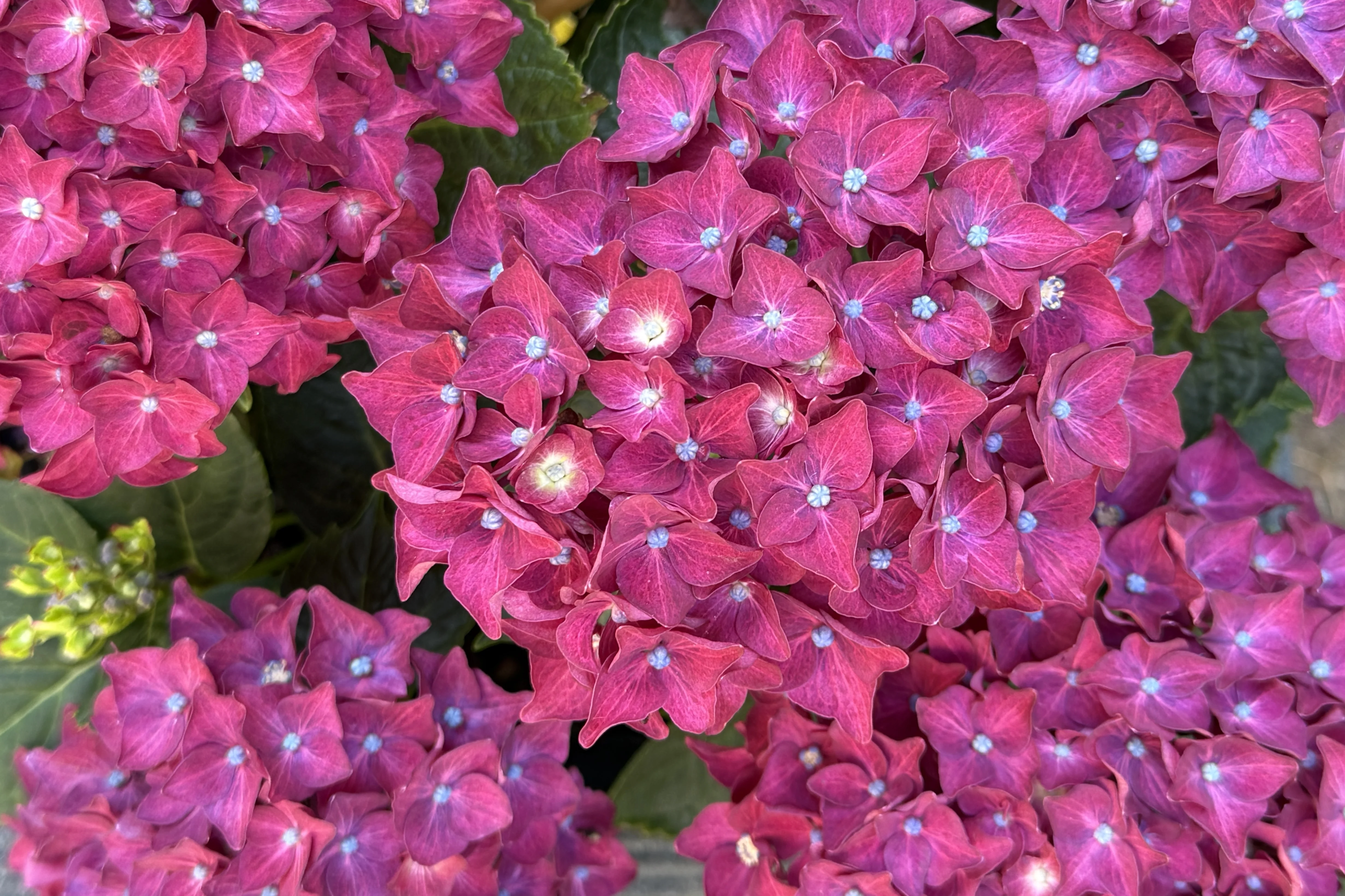 IMG_4696.webp