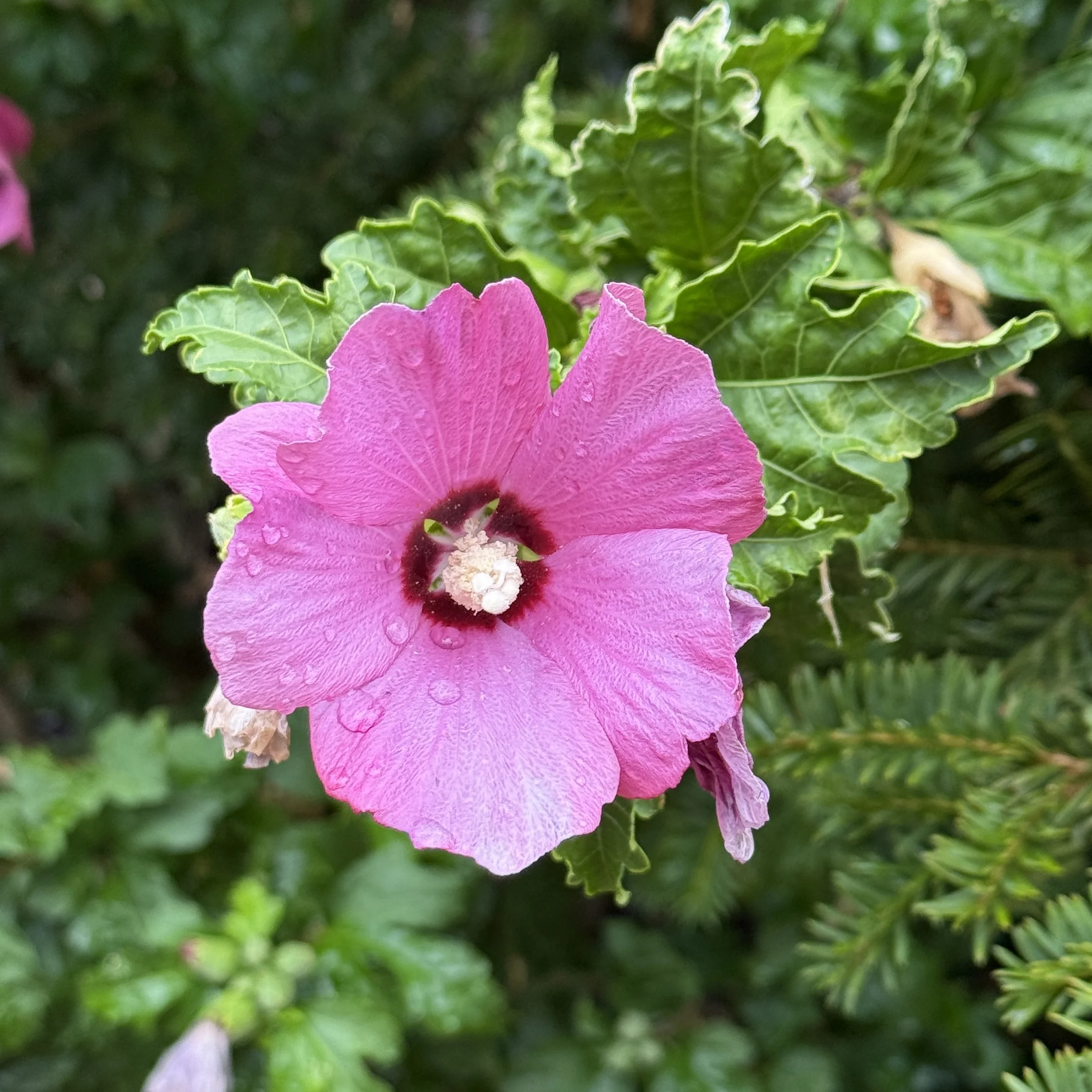 IMG_5064.webp