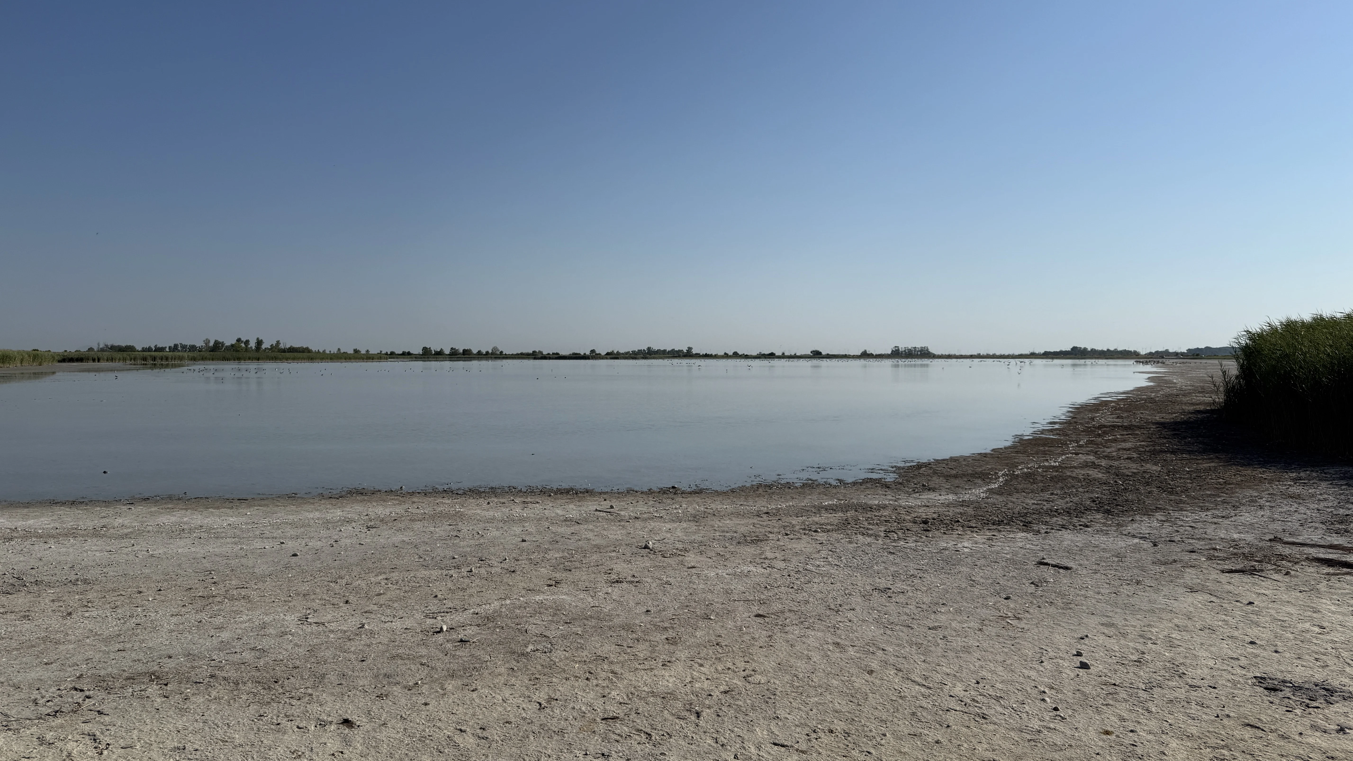 IMG_5443.webp