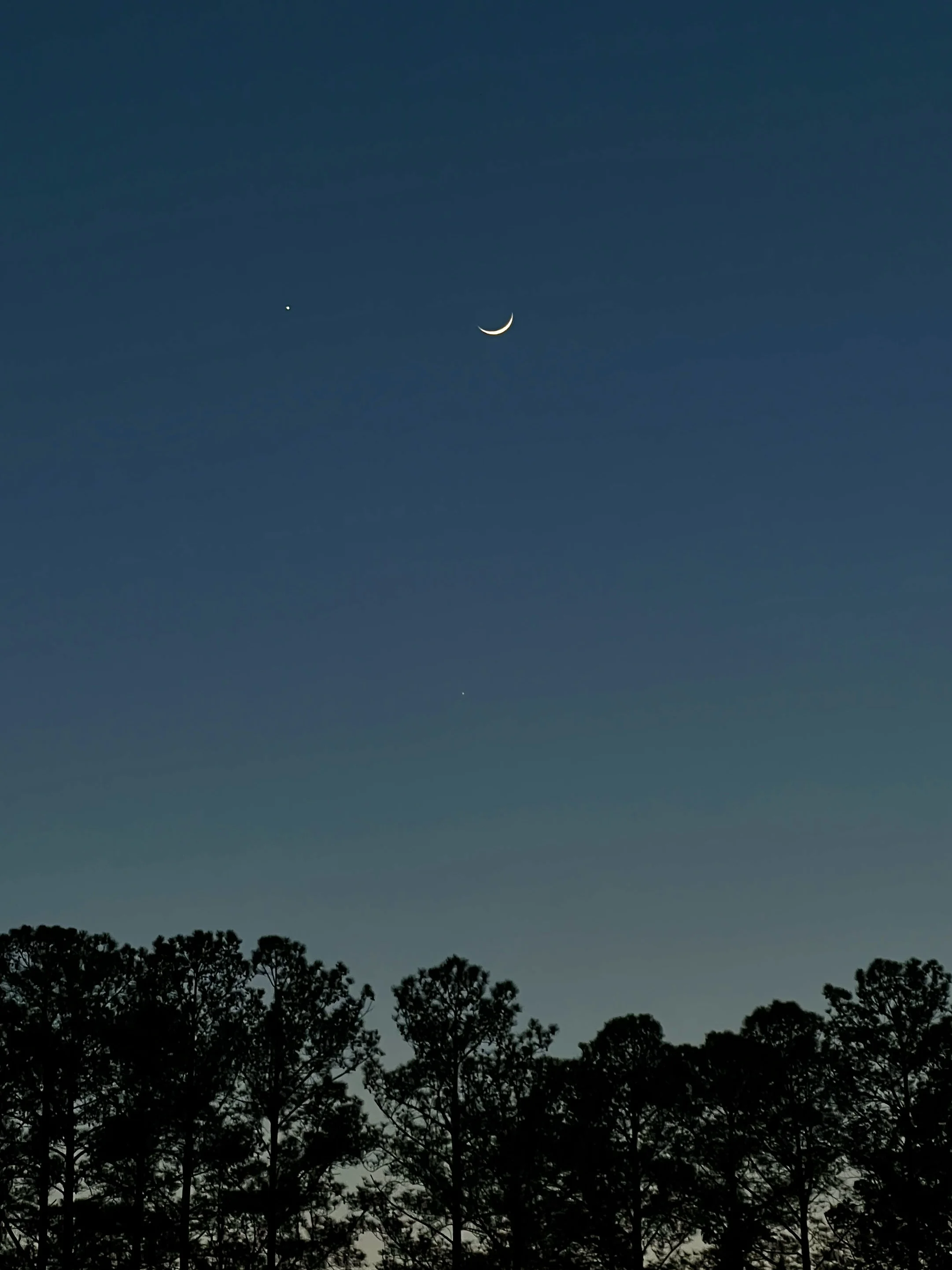 IMG_5570.webp