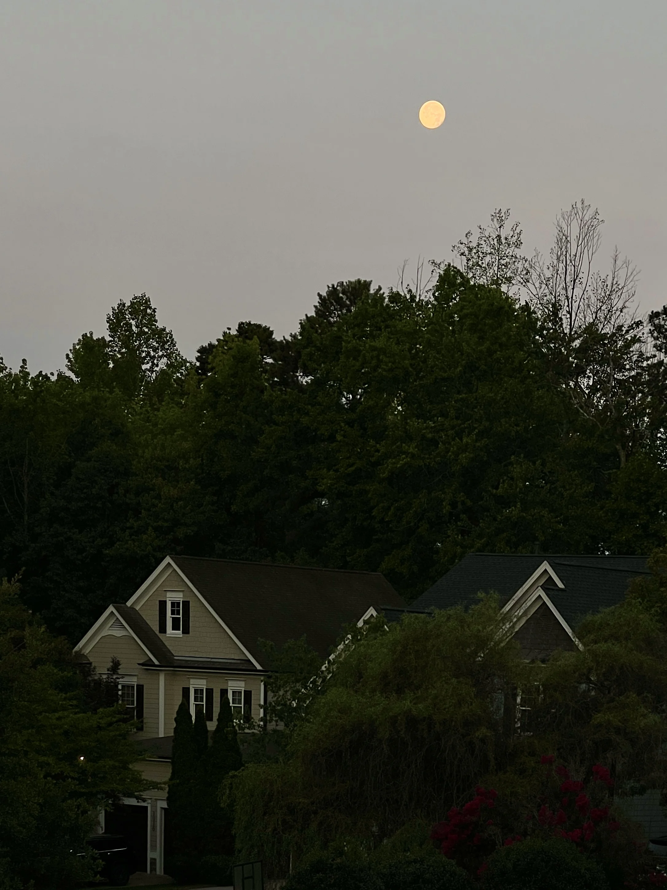 IMG_6374.webp