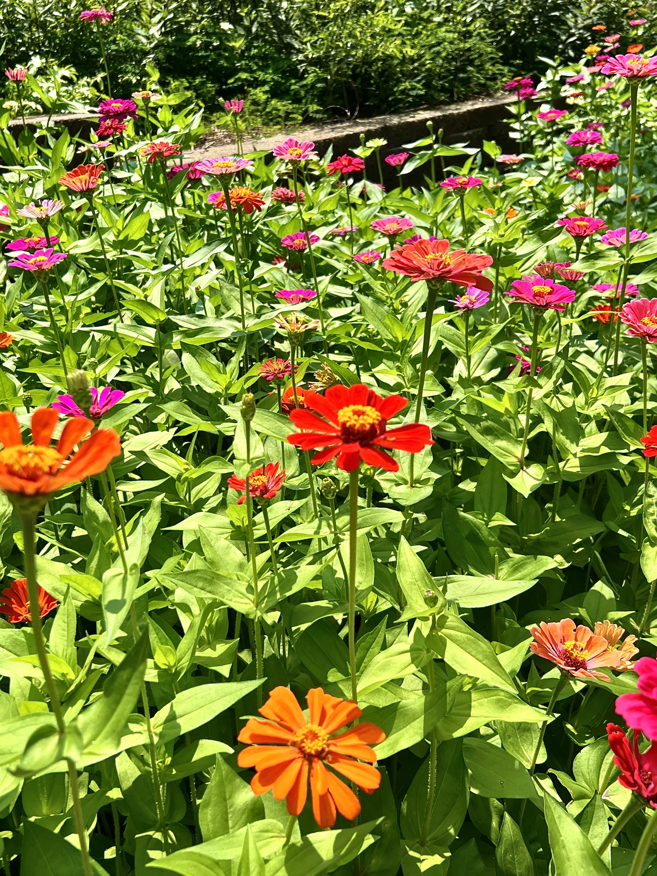 IMG_6498.webp