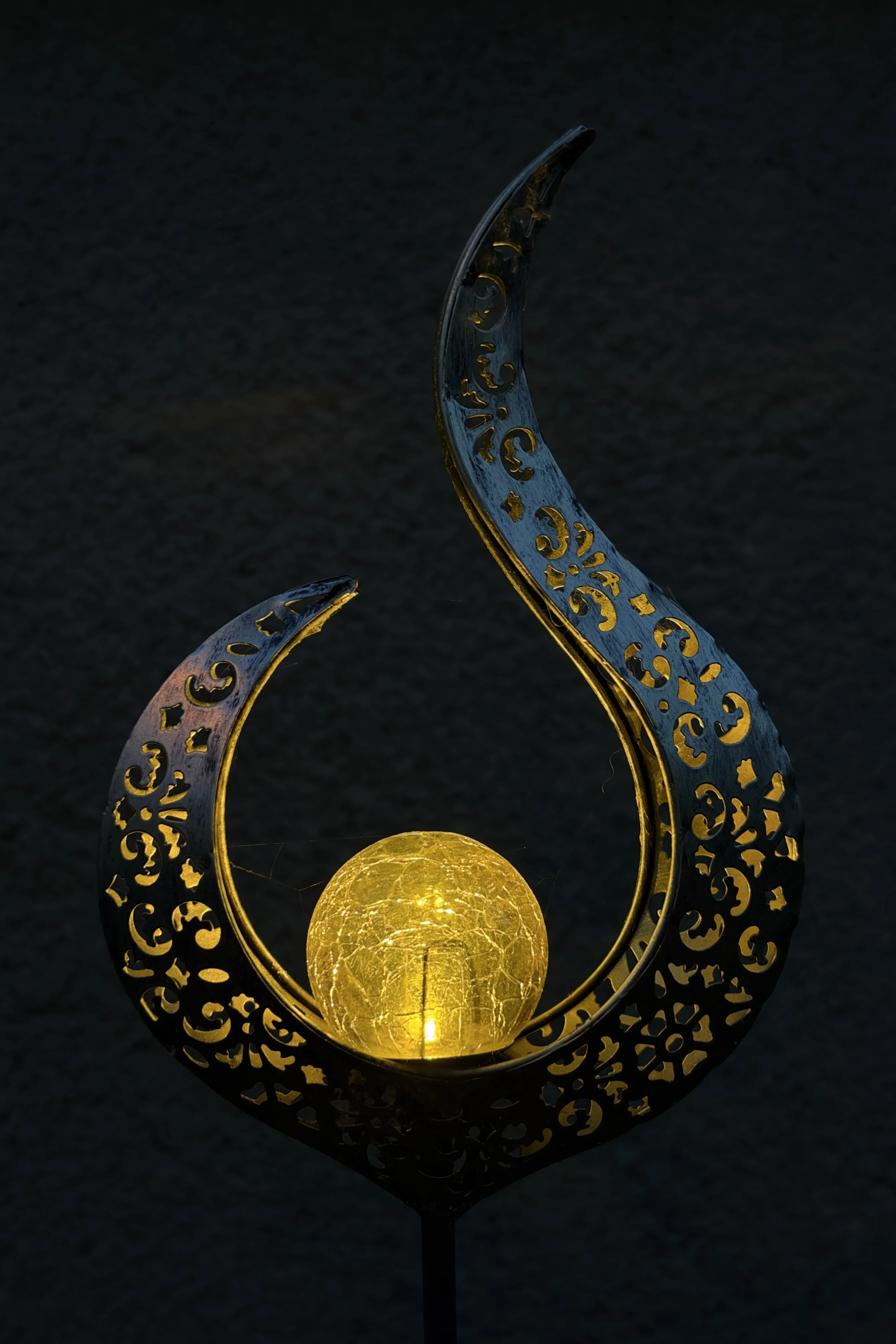 IMG_6697.webp