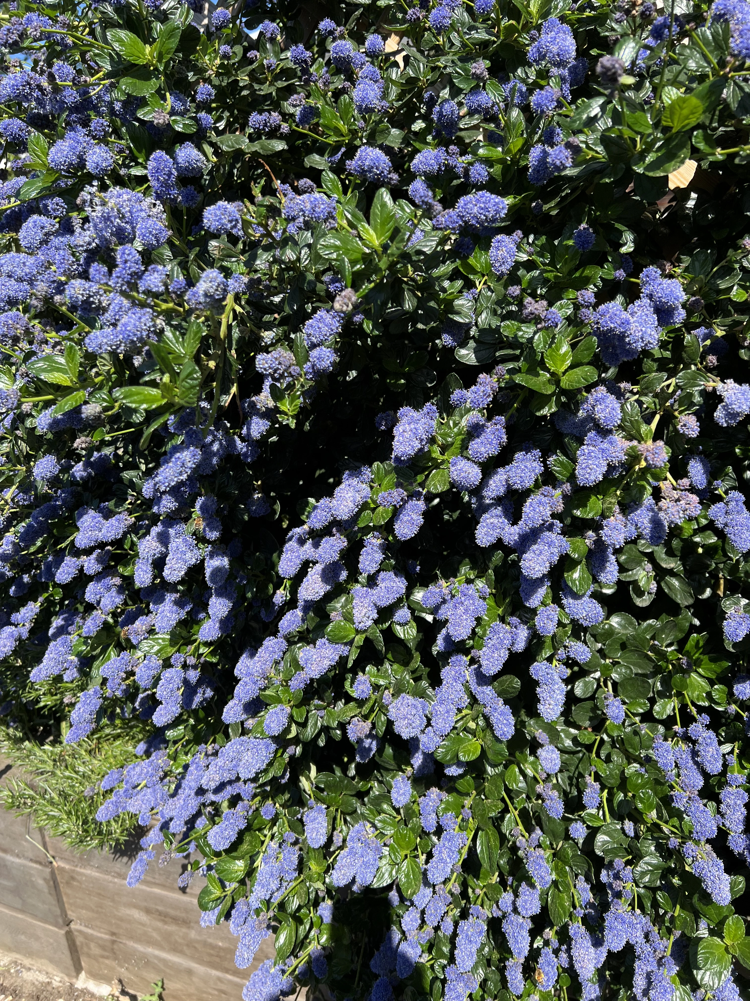 IMG_7469.webp