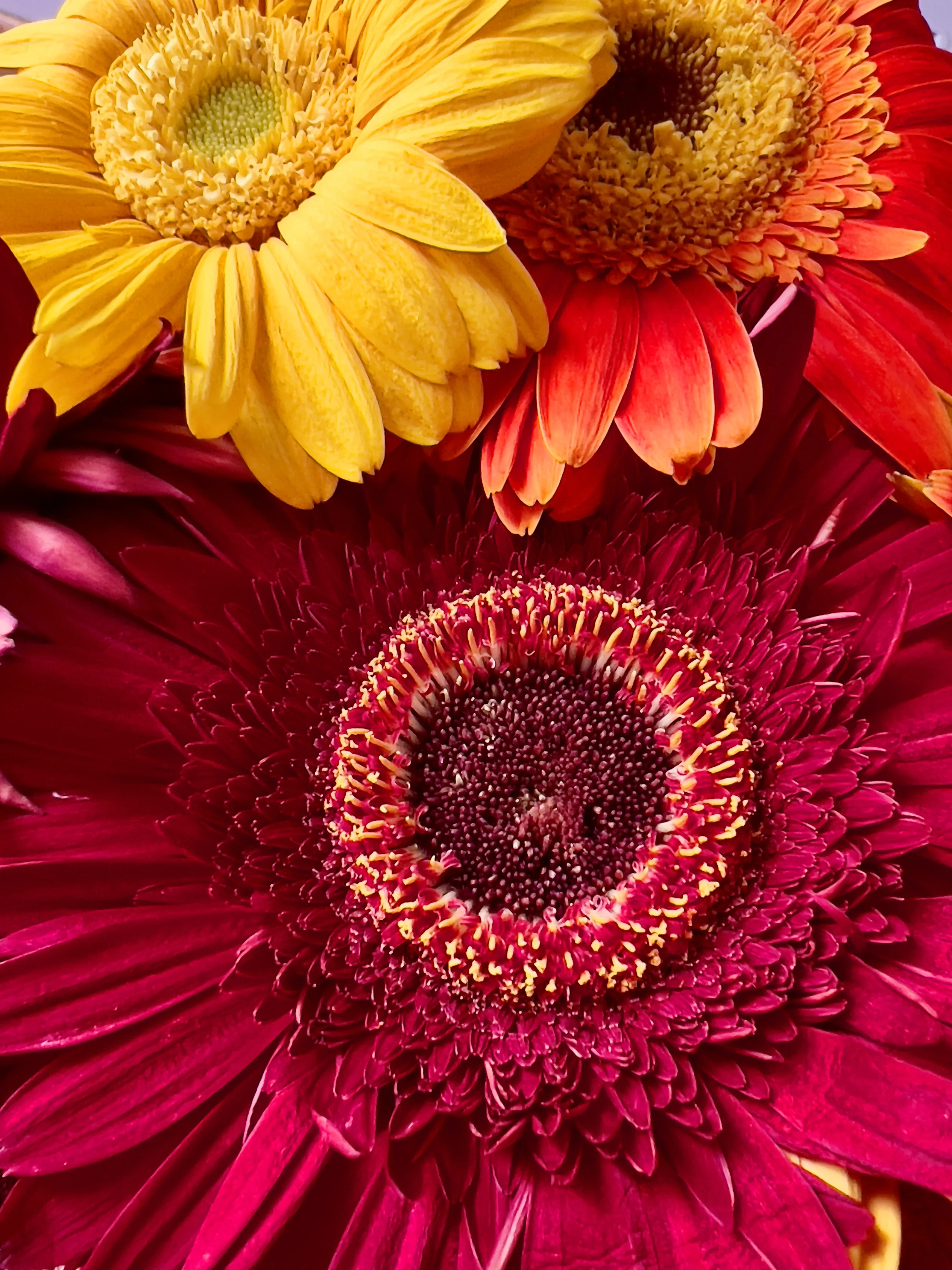 IMG_8222.webp