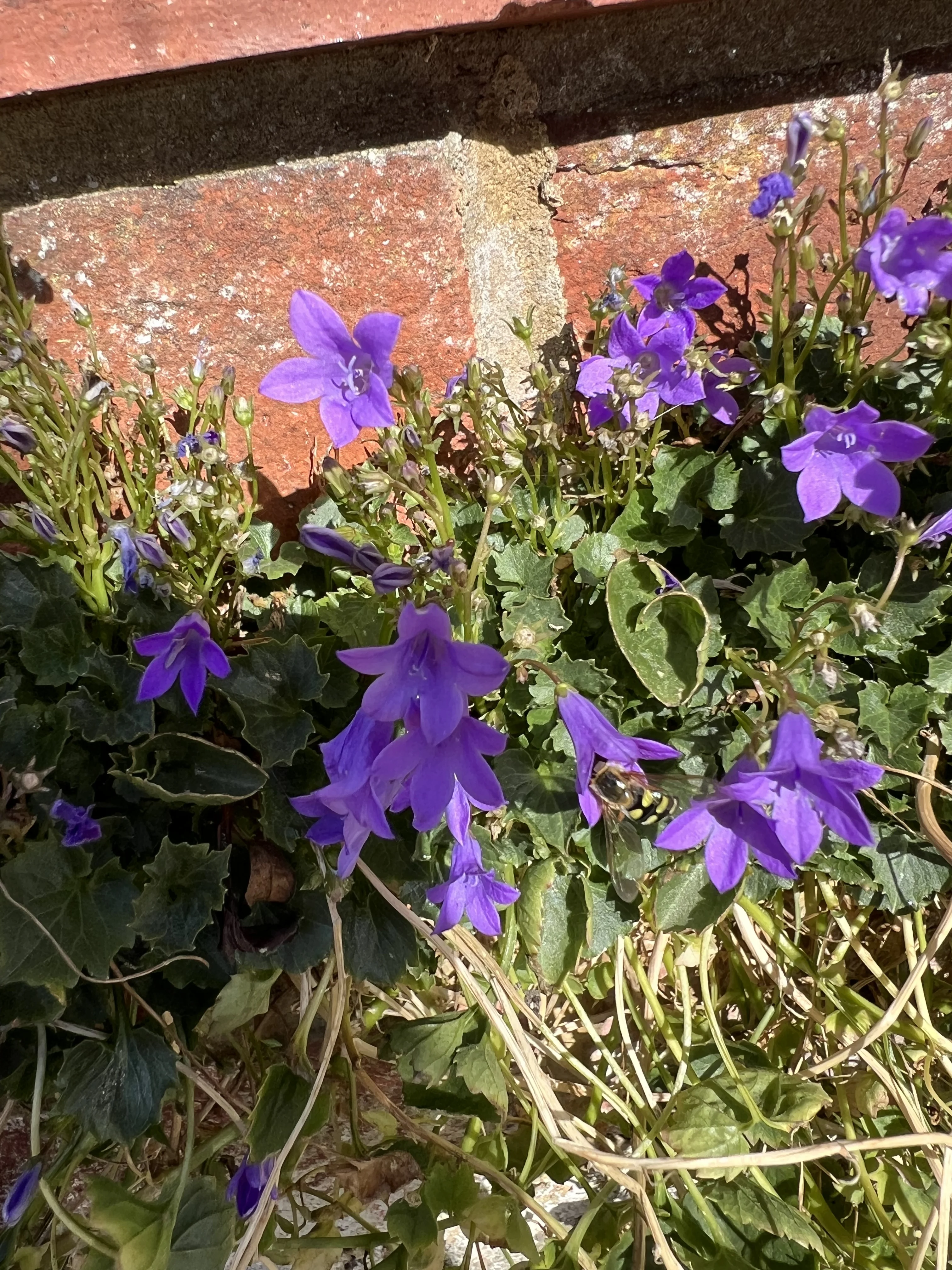 IMG_8391.webp