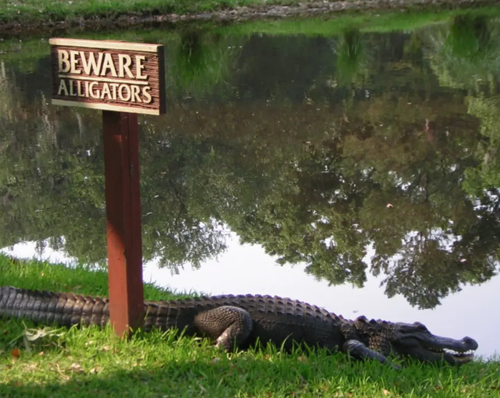 Screen Shot 2015-04-25 at 2.10.57 PM.webp