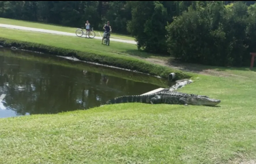 Screen Shot 2015-04-25 at 2.14.53 PM.webp