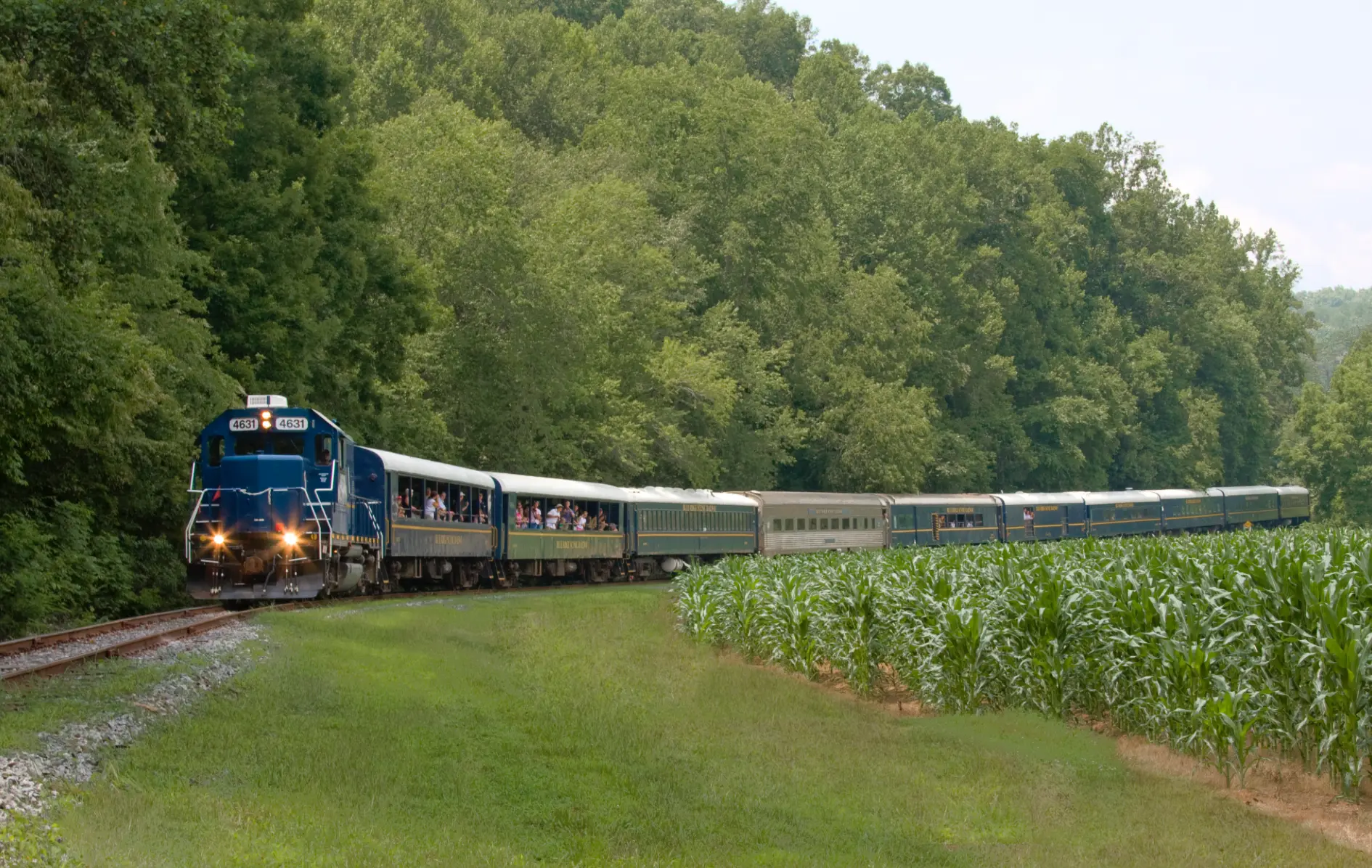 Screen Shot 2015-06-26 at 11.31.37 PM.webp