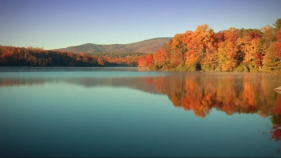 Screen Shot 2015-06-27 at 10.08.16 AM.webp