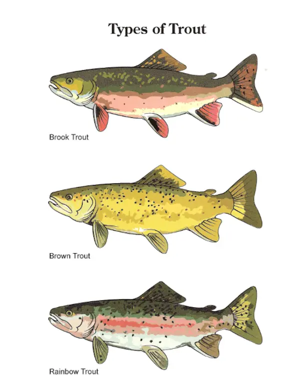 Screen Shot 2015-06-27 at 6.28.57 PM.webp