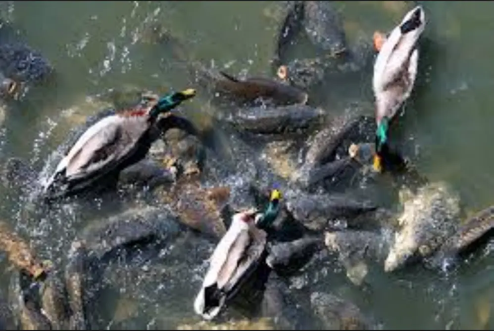 Screen Shot 2015-09-29 at 10.09.05 PM.webp