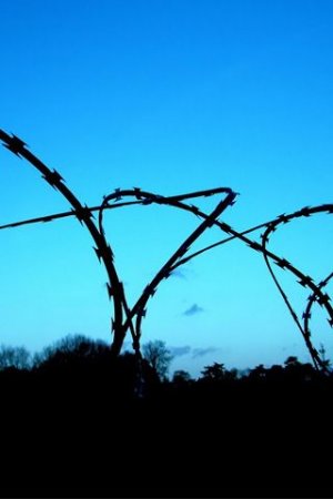 iPhone Barbed Wire Blue Background.jpg