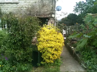 image-3345988695.webp
