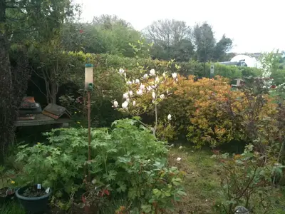 image-818529447.webp