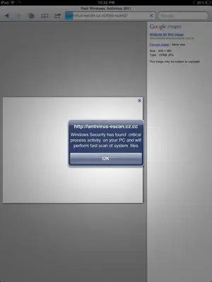 image-3677595055.webp