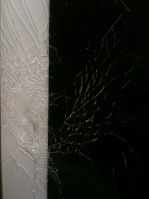 image-1096529595.webp