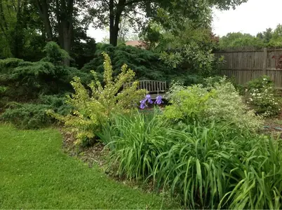 image-3950845564.webp
