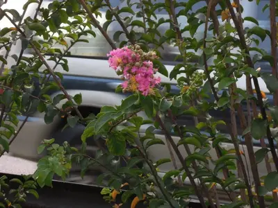 image-1758842560.webp