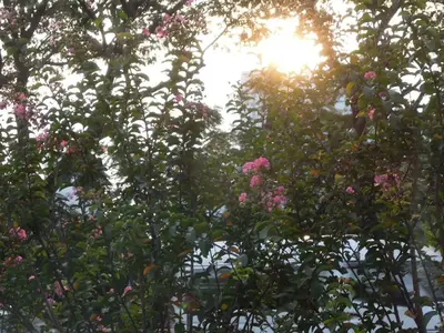image-2154602664.webp